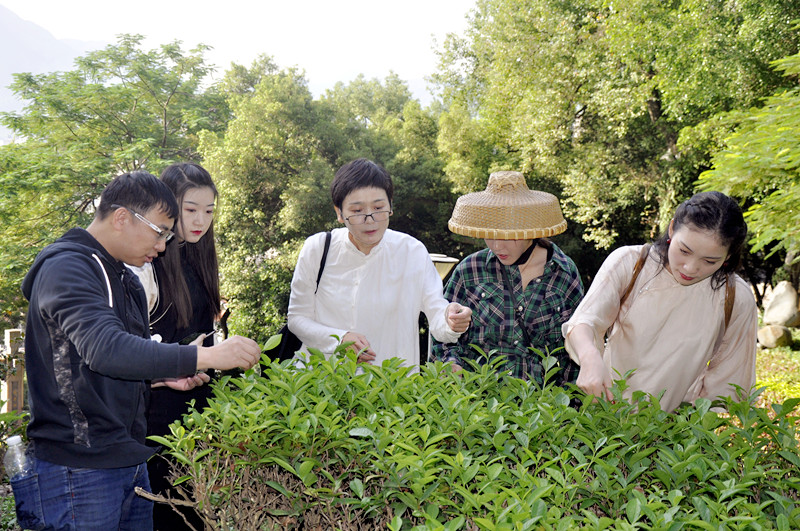 中国最值得信赖的茶艺师培训机构