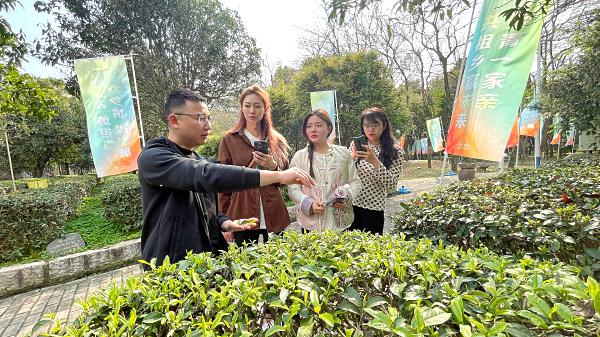 厦门茶艺师培训资格证培训班